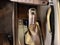 2024 Hyundai Elantra N Base