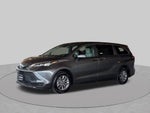 2025 Toyota Sienna LE 8 Passenger