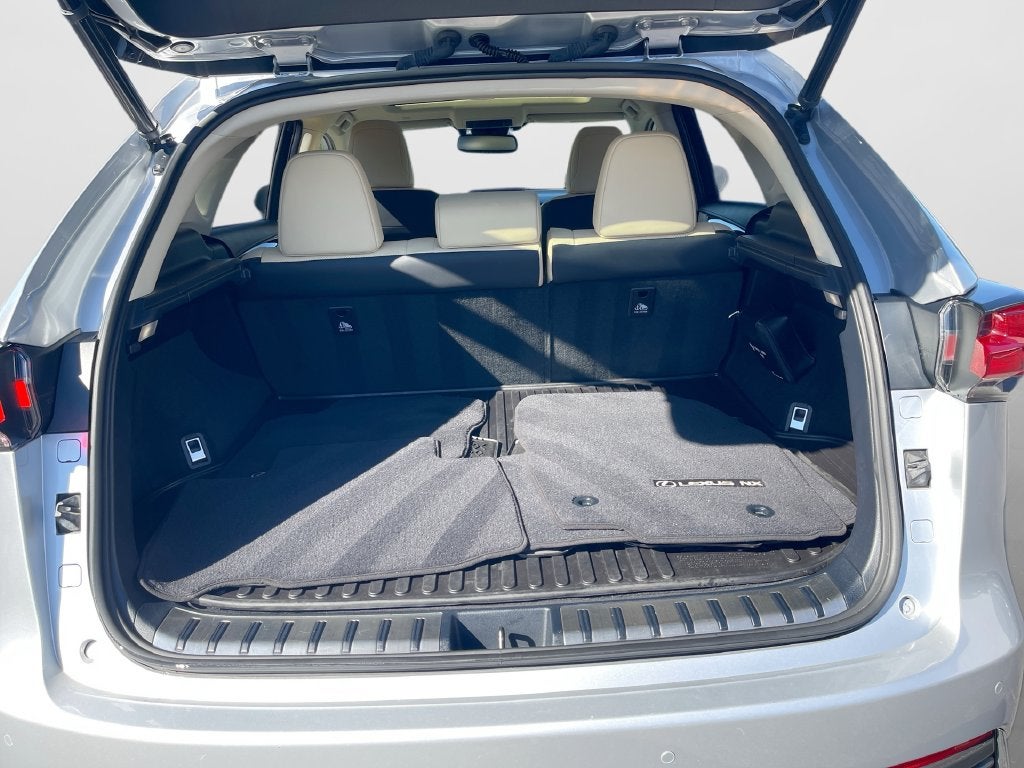 2019 Lexus NX 300h