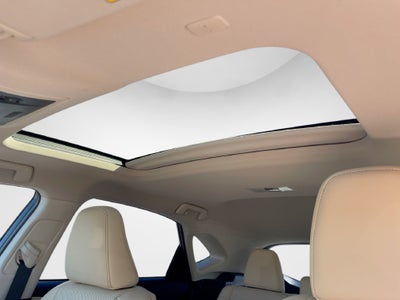 2019 Lexus NX 300h