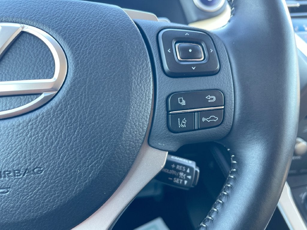 2019 Lexus NX 300h