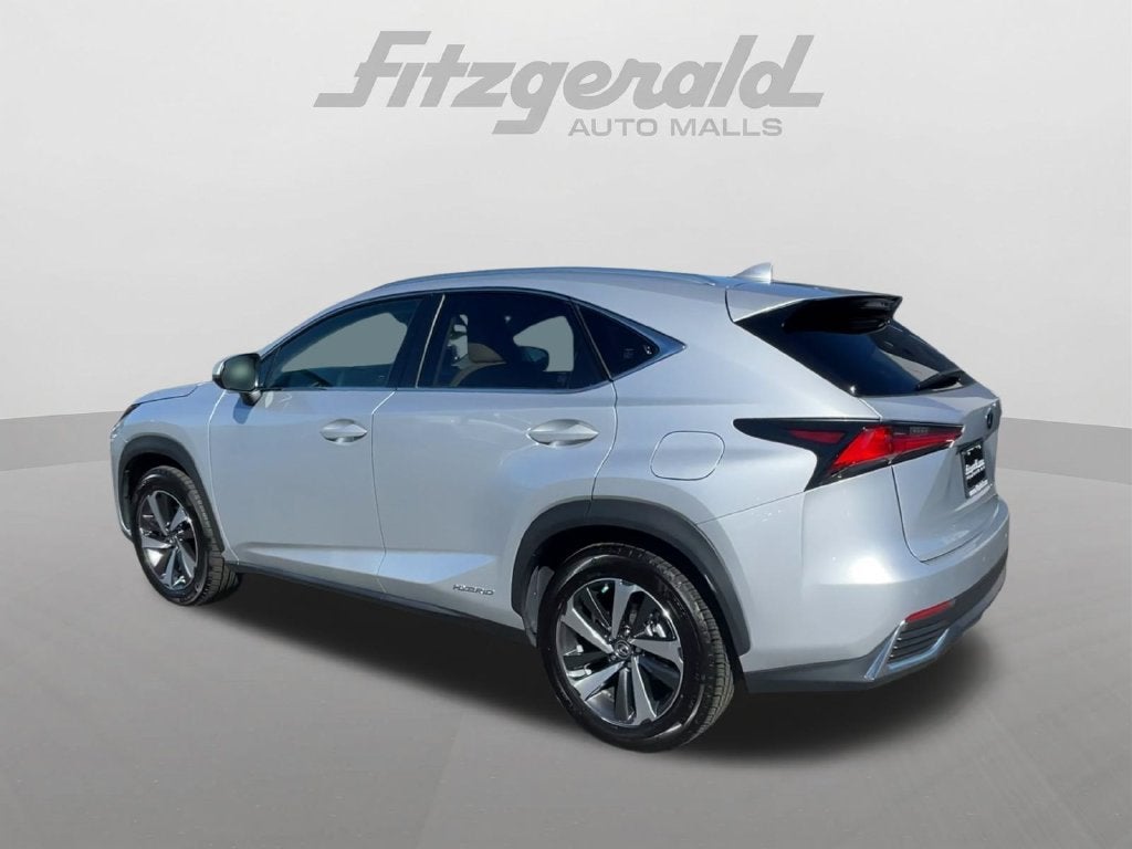 2019 Lexus NX 300h